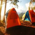 Guide to Camping Safety